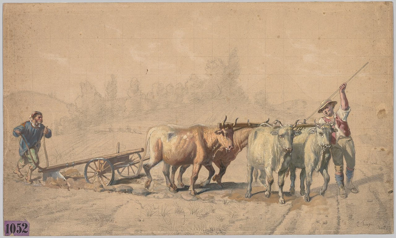 Quattro buoi che tirano l'aratro - Cleveland Museum of Art